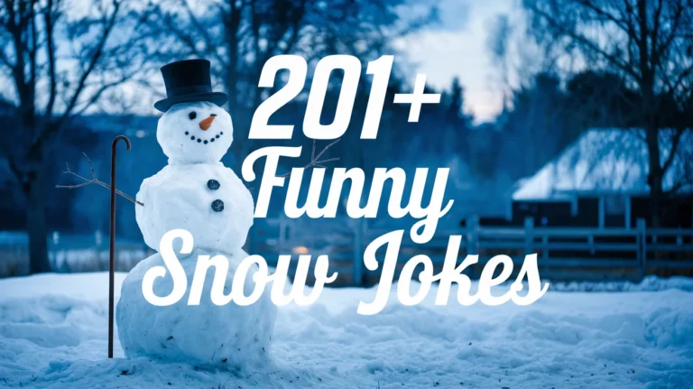 Funny Snow Jokes