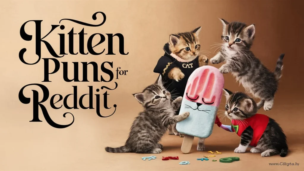 Kitten Puns For Reddit